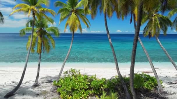 Isole Maldive Spiaggia Tropicale Con Palme Blu Oceano Tranquillo Veduta — Video Stock