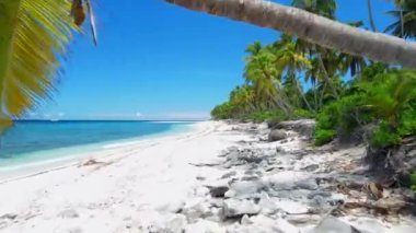 Maldivler adaları, palmiyeleri ve mavi okyanusları olan tropik plajlar. Palmiye ağaçları arasında hava manzarası. Yüksek kalite 4k görüntü