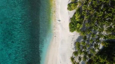 Maldivler adaları palmiyeli tropikal plajlar. Hava aracı görüntüsü. Yüksek kalite 4k görüntü