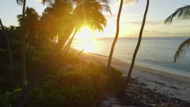 Paradis Tropisk Strand Maldiverna Med Solnedgång Solsken Sommar Och Resor — Stockvideo