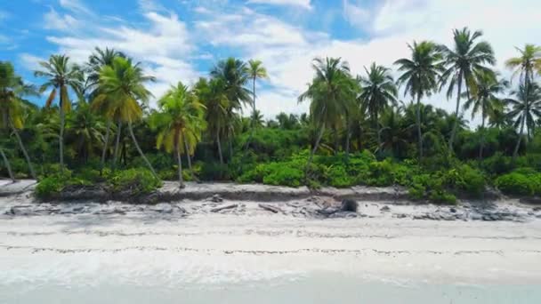 Maldivler Adaları Kıyı Şeridi Okyanus Palmiyeli Tropikal Plaj Hava Görüntüsü — Stok video