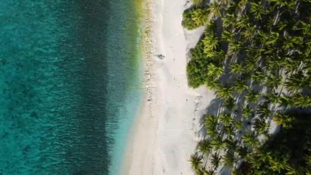 Maldivas Islas Océano Playa Tropical Con Palmeras Vista Aérea Del — Vídeo de stock