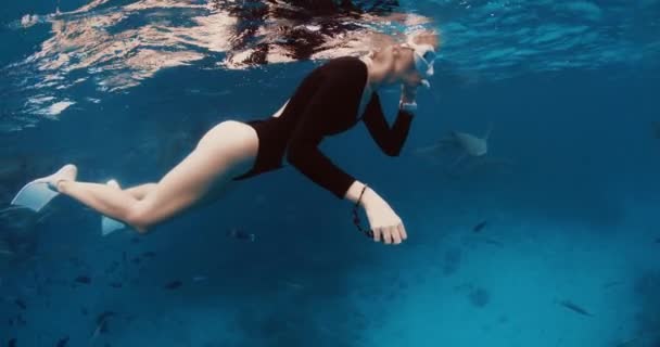 Female Freediver Resting Surface Ocean Looking Sharks Tropical Blue Sea — Stock Video