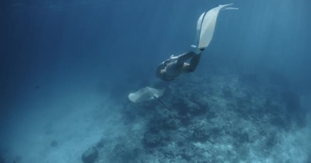 Donna Attraente Apneista Nuotare Con Raggio Pungente Nell Oceano Blu — Video Stock
