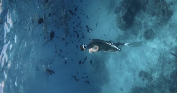 在Maldive环礁岛上 度假的妇女与鲨鱼和热带鱼一起在蓝色的海里游泳 高质量的4K镜头 — 图库视频影像