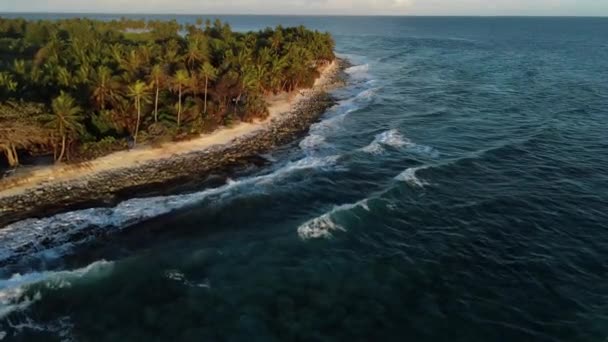 Tropisk Havskust Med Palmer Och Varm Soluppgång Maldiverna Högkvalitativ Film — Stockvideo
