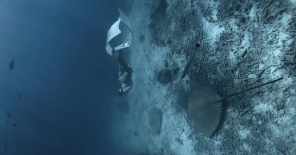Jolie Femme Plongeuse Apnée Avec Rayon Piqueur Dans Océan Bleu — Video