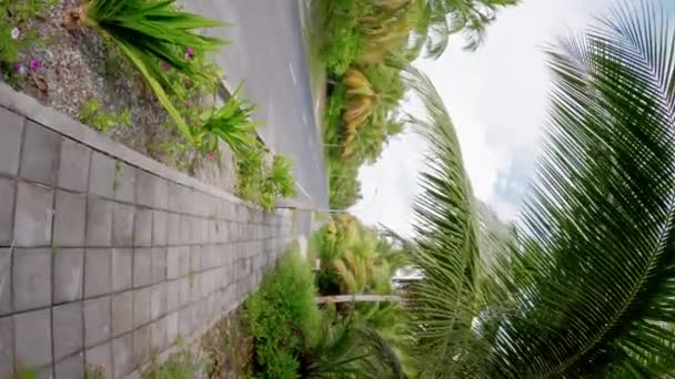 Spacer Pierwszą Osobą Ulicy Wyspie Wyspie Fuvahmulah Palmami Kokosowymi Nagranie — Wideo stockowe