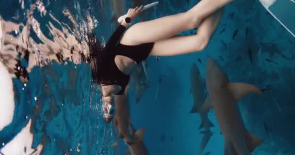 Sexy Žena Plaví Hladině Oceánu Dívá Kameru Tropické Modré Moře — Stock video