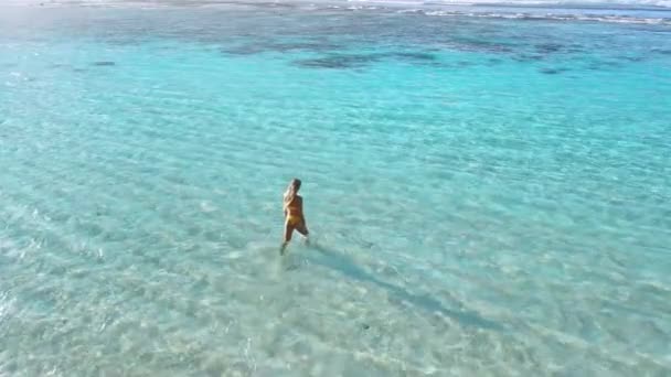 Krásná Žena Bude Plavat Tropickém Modrém Oceánu Letecký Pohled Vysoce — Stock video