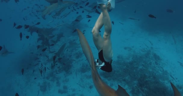 Mulher Livre Nadando Com Tubarões Enfermeira Mergulhador Fundo Mar Azul — Vídeo de Stock