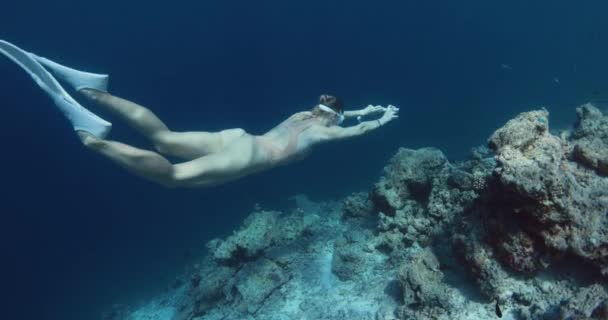 Žena Pluje Hluboko Tropickém Moři Dívka Plave Pod Vodou Pozadí — Stock video