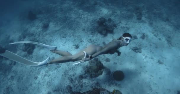 Donna Vacanza Apnea Nel Mare Tropicale Blu Sulle Maldive Ragazza — Video Stock