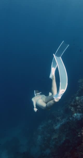 女性は深海で泳いでいるフィンと共に解放された 澄んだ青い海で解放される 高品質の4K映像 — ストック動画