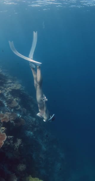 Mulher Livre Com Barbatanas Nadando Oceano Profundo Freediving Mar Azul — Vídeo de Stock