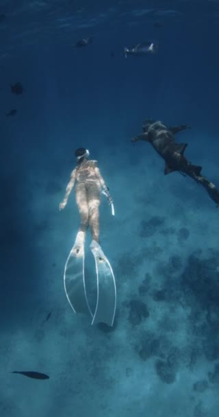 Vrouw Glijdt Onder Water Met Verpleegster Haai Tropische Blauwe Zee — Stockvideo
