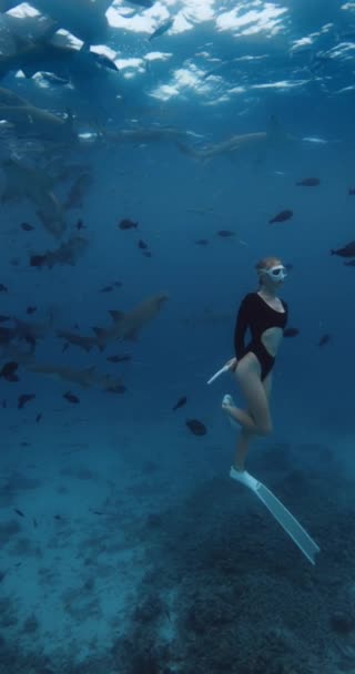 Mujer Bucea Nada Con Los Tiburones Mar Azul Tropical Las — Vídeo de stock