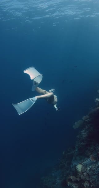 Freediver Fille Plonge Nage Avec Des Nageoires Fond Mer Bleue — Video