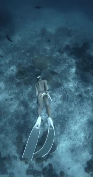 Vrouw Die Duikt Met Pijlstaartvis Tropische Blauwe Zee Malediven Hoge — Stockvideo