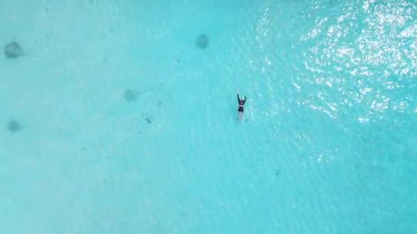 Maldivler Vatozla Yüzen Bir Kadın Işın Balıkları Mavi Denizde Yüzüyor — Stok video