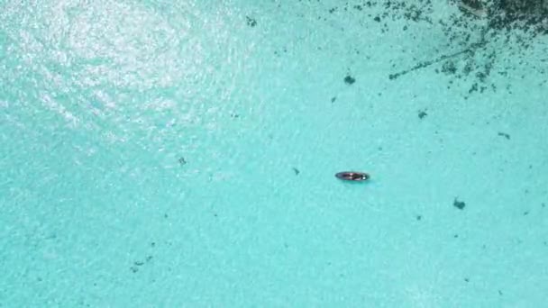 Pádlujte Modrém Oceánu Letecký Výhled Transparentní Moře Maledivách Vysoce Kvalitní — Stock video