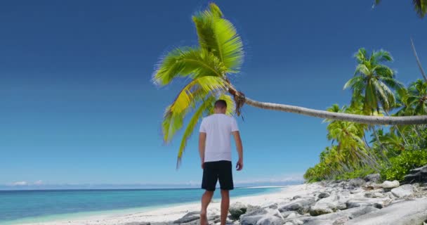 Homem Sem Camisa Relaxando Praia Sobe Uma Palmeira Coco Homem — Vídeo de Stock