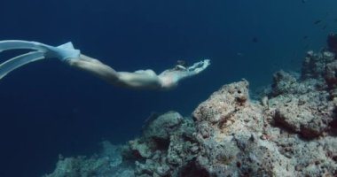 Kadın serbest dalgıç tropikal denizin derinliklerinde süzülür. Kız mercan resifinin arka planında su altında yüzüyor. Yüksek kalite 4k görüntü