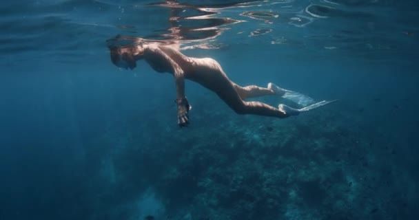 Mujer Liberadora Descansando Superficie Mar Tropical Azul Imágenes Alta Calidad — Vídeo de stock