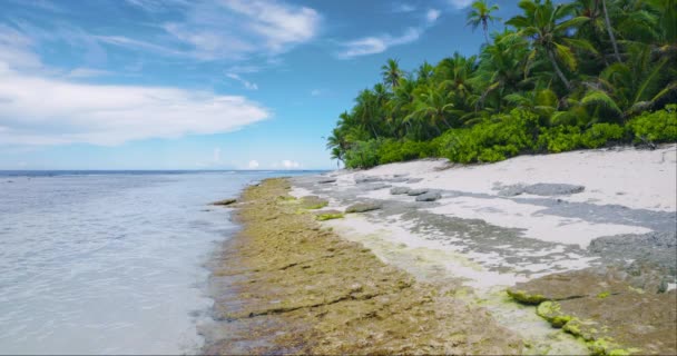 Tropikalna Plaża Malediwach Koncepcja Wakacji Letnich Tropikalnych Piaszczysta Plaża Tropikach — Wideo stockowe