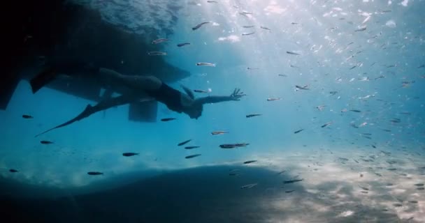 Женщина Фридайвер Плавает Водой Голубом Море Женщина Плавает Плавниками Пирсом — стоковое видео