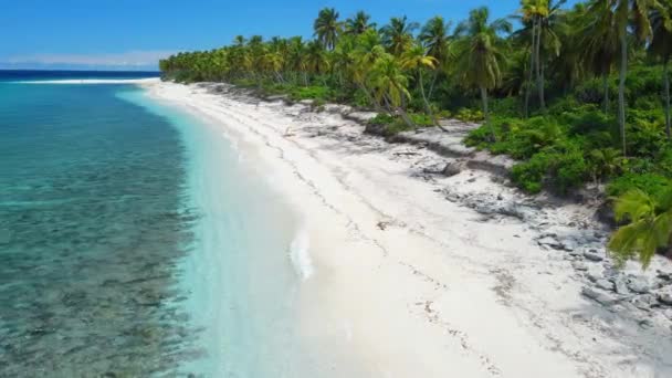 Tropik Plajlı Palmiye Ağaçları Mavi Okyanuslu Maldivler Adası Hava Görüntüsü — Stok video