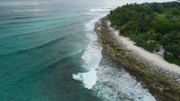 Sahili Dalgalı Okyanusu Olan Maldivler Adası Hava Görüntüsü Yüksek Kalite — Stok video