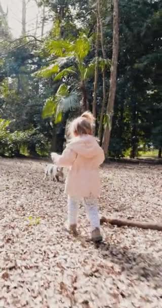 Een Klein Meisje Dat Met Een Kat Speelt Het Stadspark — Stockvideo