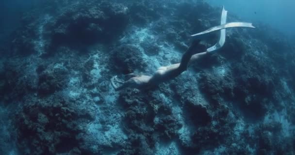 Mujer Freediver Desliza Las Profundidades Del Mar Tropical Niña Nada — Vídeo de stock