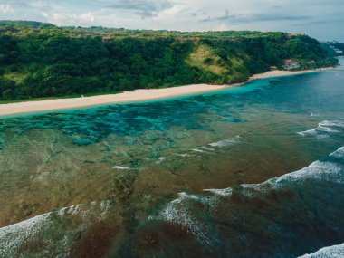 Bali 'de yeşil kayalıkları ve okyanusu olan manzaralı bir sahil. Tatil kıyı şeridinin havadan görüntüsü