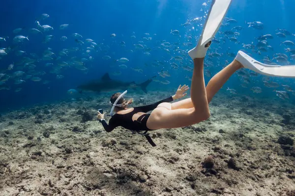 Woman Dive Tiger Shark Blue Ocean Maldives — Stock Photo, Image