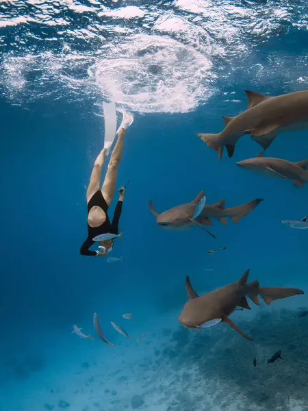 Woman Dives Sharks Tropical Sea Maldives Free Diving Nurse Sharks — Stock Photo, Image