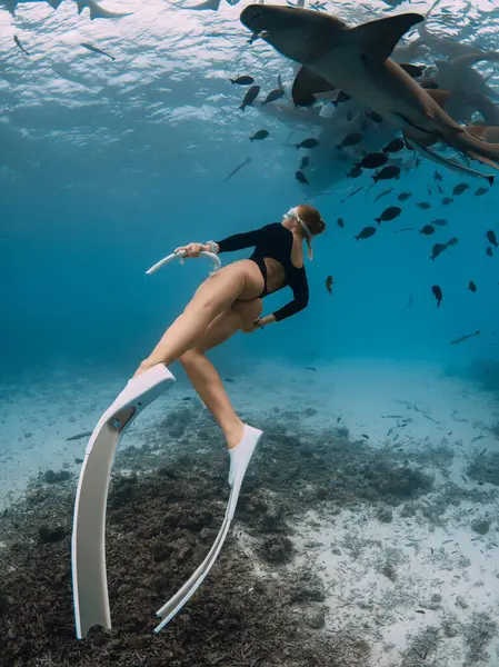 Sexy Woman Freediver Tropical Sea Swim Nurse Sharks Bahamas — Stock Photo, Image
