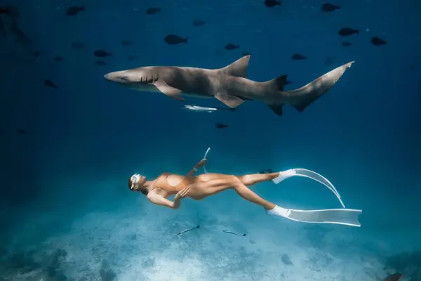 Woman in diving mask and fins swimming with nurse sharks in a tropical blue ocean in the Maldives.