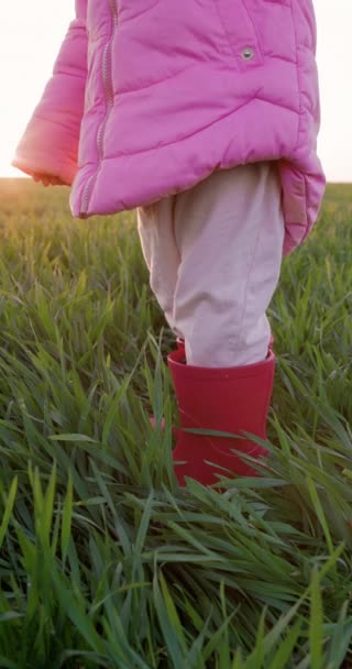 子供の足は日没のライトが付いている農場のブーツで 縦の映像を撮りました 高品質の4K映像 — ストック動画