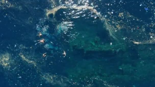 Les Gens Nagent Plongent Apnée Dans Océan Avec Pollution Plastique — Video