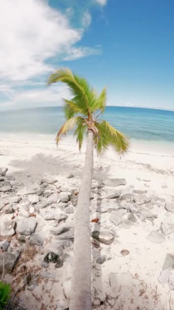 阳光明媚的日子 带着椰子树走进热带海滩的第一人称 垂直镜头 高质量的4K镜头 — 图库视频影像