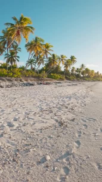 Procházka První Osobě Tropické Pláži Kokosovými Palmami Slunečného Dne Vertikální — Stock video
