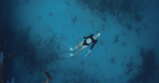 Mujer Bucea Nada Con Los Tiburones Mar Azul Tropical Las — Vídeo de stock