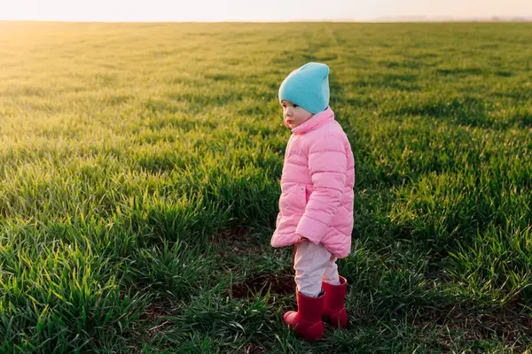 Bambina Che Cammina Nel Campo Della Fattoria Con Sole — Foto Stock