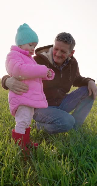 Boldog Nagyapát Unokát Mezőn Napsütéssel Felvétel — Stock videók