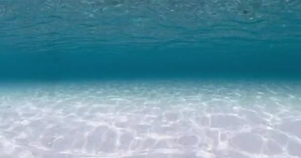 Průhledný Modrý Oceán Písčitým Dnem Vlnami Pod Vodou Vysoce Kvalitní — Stock video