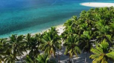 Palmiye ağaçları ve şeffaf mavi okyanuslu Maldivler. Lüks cennet adasında hava manzarası. Yüksek kalite 4k görüntü