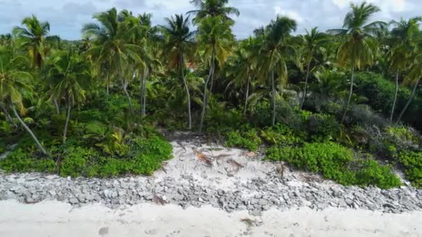 拥有热带海滩 棕榈树和蓝色海洋的马尔代夫岛 空中风景 高质量的4K镜头 — 图库视频影像