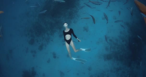 Mulher Freediver Desliza Debaixo Água Mar Azul Com Tubarões Peixes — Vídeo de Stock
